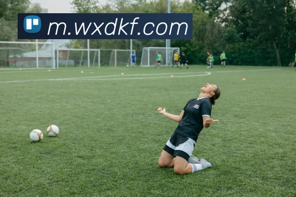 体育数据展示